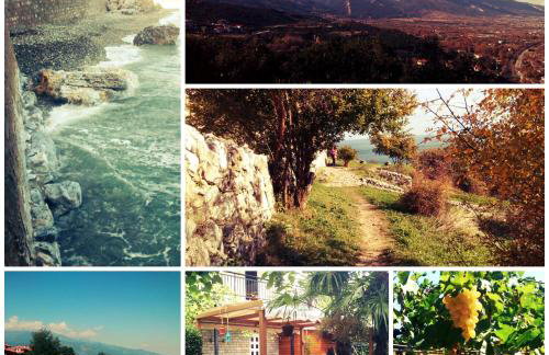 Helena Apartments - Foto 33