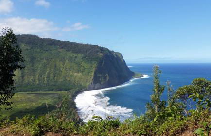 Ferns & Frogs Forest Hale 3 Bedroom Home by RedAwning - Foto 34