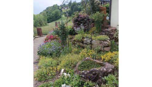 Ferienwohnung Wiesenblick - Foto 3