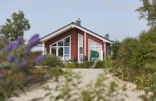 Strandläufer - Foto 2