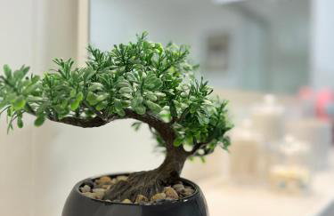 Schickes Apartment mit Balkon nähe Hbf-Lift-Zentrum - Foto 10