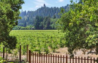 Cozy Riverfront Cabin Just Steps to the Russian River with Beach Access & Wood Stove - Foto 43