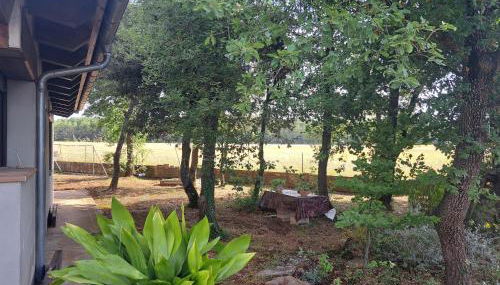 La casa del pi - Foto 5, Garden, Garden view