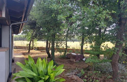 La casa del pi - Foto 5