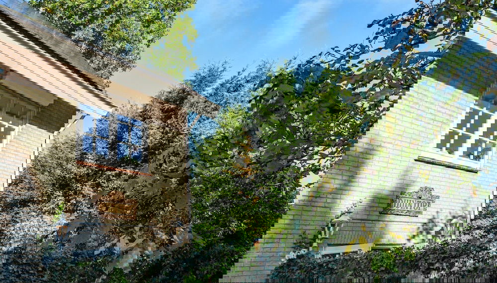 Apartment in Oostkapelle Near the Beach - Foto 1, Profilbild