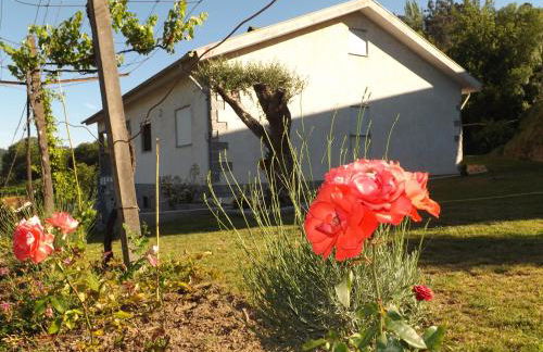 Casa Oliveira - Foto 5