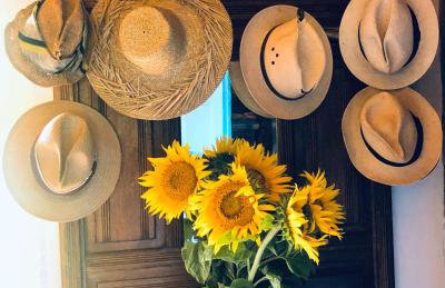 Magiczne Podlasie - Foto 29