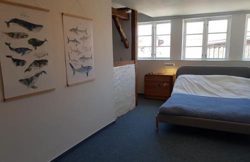 Apartment Altes Pfarrhaus in Plau am See - Foto 22