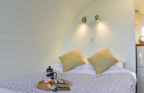 Privet Pod - Uk41394 - Foto 7