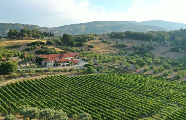 Excursion privée à Éphèse + Dégustation de vin - Photo 4