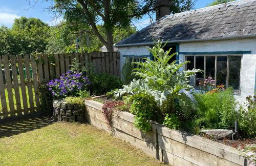 A Wee Cottage In Dunfermline - Foto 37