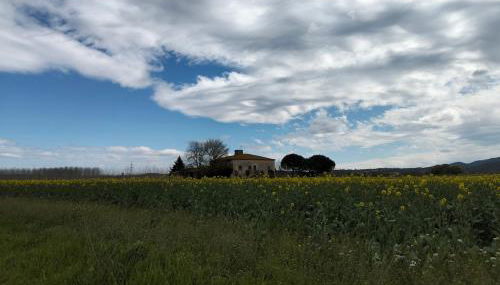 Preciosa Casa en Bordils - Foto 5