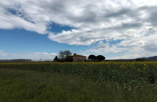 Preciosa Casa en Bordils - Foto 5