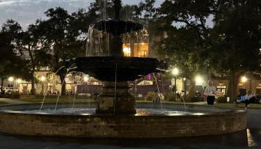 Above All-d'town, parking, gym, cruise, walkable - Foto 5