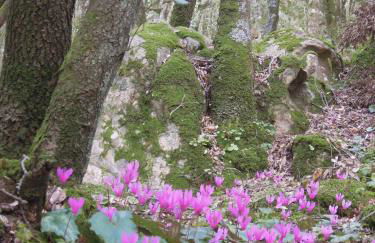 Casa Solotti - Foto 24