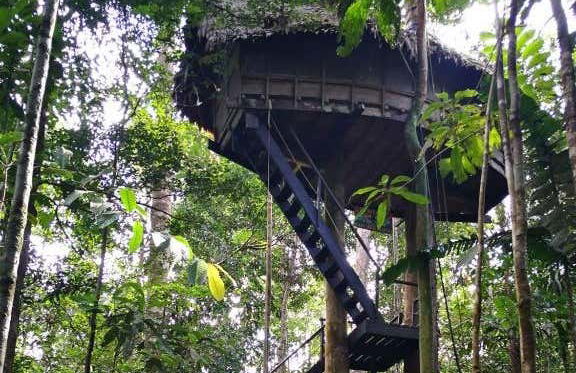 Notte nella Riserva Naturale Tanimboca - Foto 8