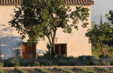 Cortijo de la Seda - Foto 26