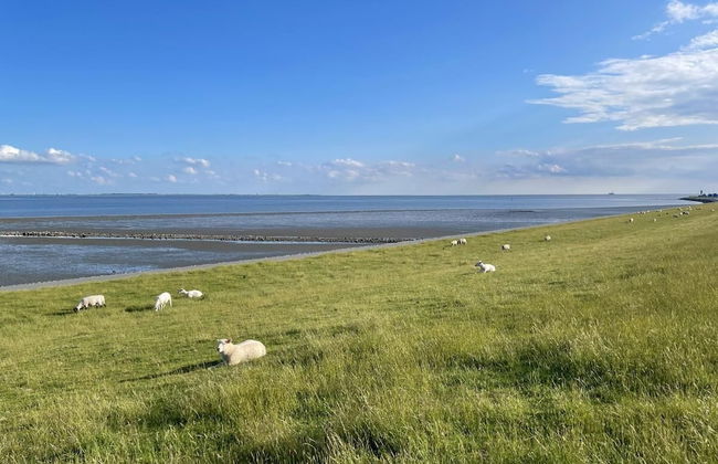 TIDELAND 2 - Foto 20