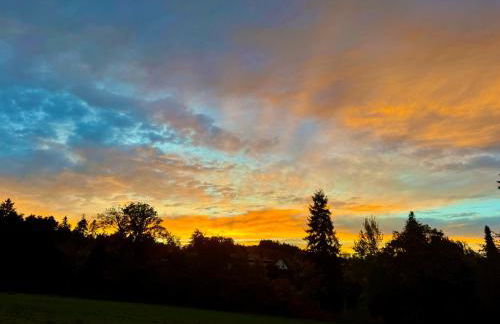 Schwarzwaldliebe Ferienwohnung mit eigenem Garten - Foto 43