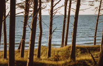 Boho Sfera - Foto 54