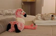 Casa Il Nido - Foto 1