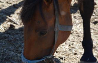 Azienda Agrituristica Caridà - Foto 111