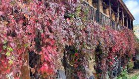 Casas Rurales Chon Alto Tajo - Foto 3