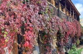 Casas Rurales Chon Alto Tajo - Foto 3