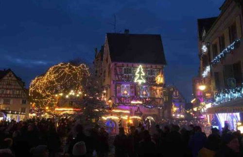 Coeur Alsace - Foto 57