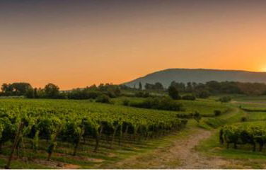 Pisogne new apartment - Foto 75