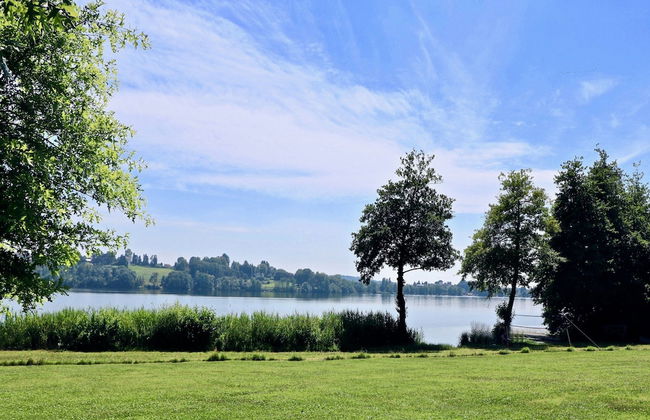 Rododendro Rosso - Foto 26