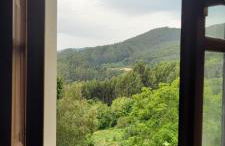 Casa da Oliveira - Foto 25