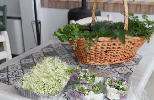 Country House Erba Regina - Foto 45