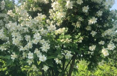 Odisea Hill House - Modern Holiday Home with swimming pool, sauna, jacuzzi, WiFi and 2 bedrooms, near Varazdin - Foto 35