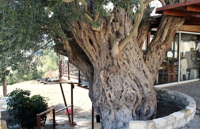 Idyllic 3 Bed Villa With Stunning Views - Foto 19