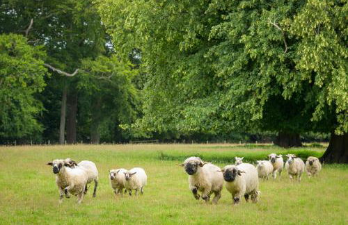 Escape to Serene Georgian Estate, near Edinburgh - Foto 62