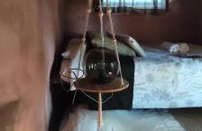 Associação Quinta das Relvas - Foto 89