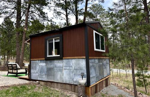 Quaint Rustic Cabin Surrounded by Nature in Black Forest, Colorado - Foto 14