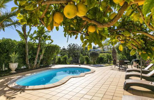 The Palm House - Foto 26