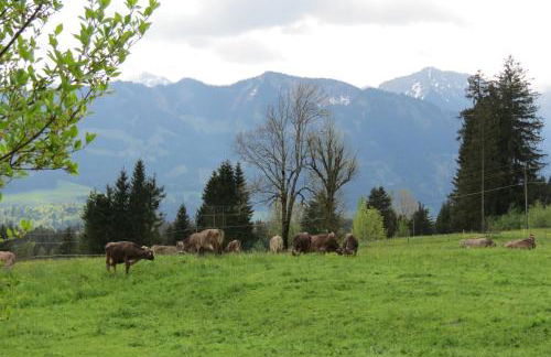 Landhaus Tröster - Photo 3