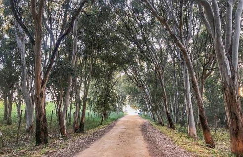 Villa Ferraro - Foto 12