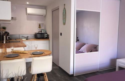 Plage à 400 m Studio tout confort Terrasse Clim Parking - Foto 13