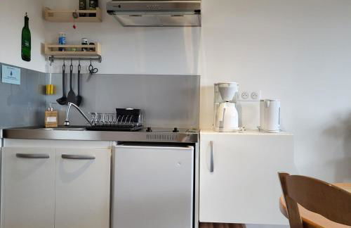 Gîte Volcans - 1-4 pers, au calme à 20 mins de Vulcania, Puy-de-Dôme et Lemptegy, 35 mins du Mont Dore et du Sancy - Foto 6