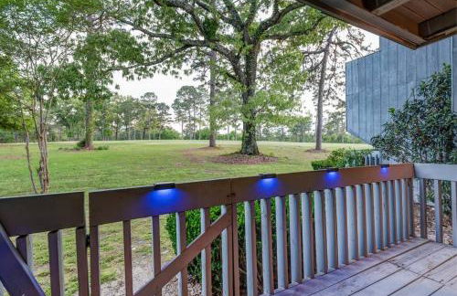 Blue Albatross - Daphne - Foto 11