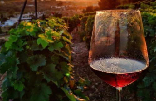 Casa Amiata 2 - Foto 25