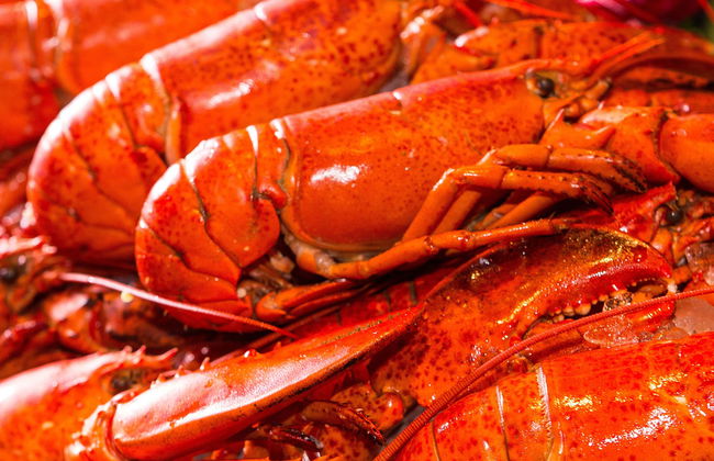 Boston Food Tour - Photo 1