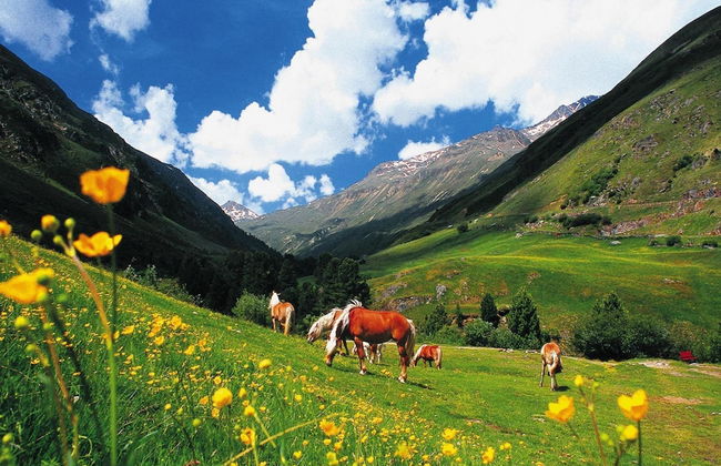 Large Holiday Home With Garden and Balcony in Otztal - Foto 25