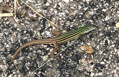 Fishers Of Men Ranch Home - Photo 38