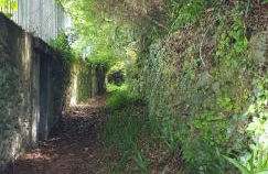 BMP APARTMENT GIOIOSA 2 giardino vista Lago Maggiore - Foto 25