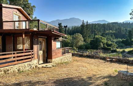 The Root House - Crete Stay - Foto 52